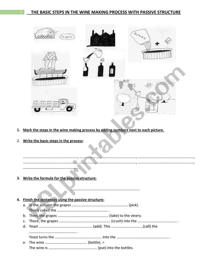 Basic steps in the winemaking process with present passive structure