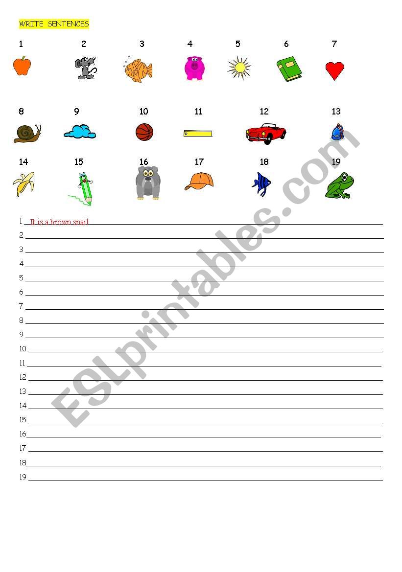 WRITE SENTENCES worksheet