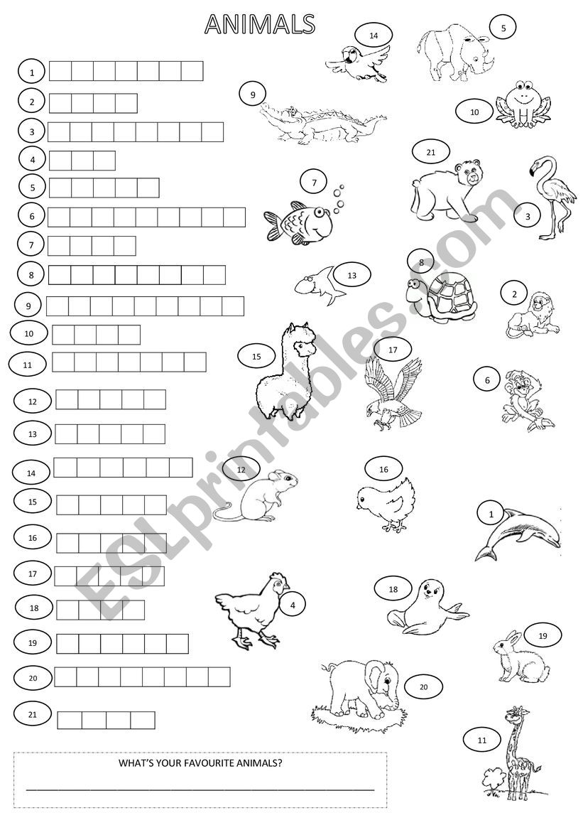 ANIMALS CROSSWORD worksheet