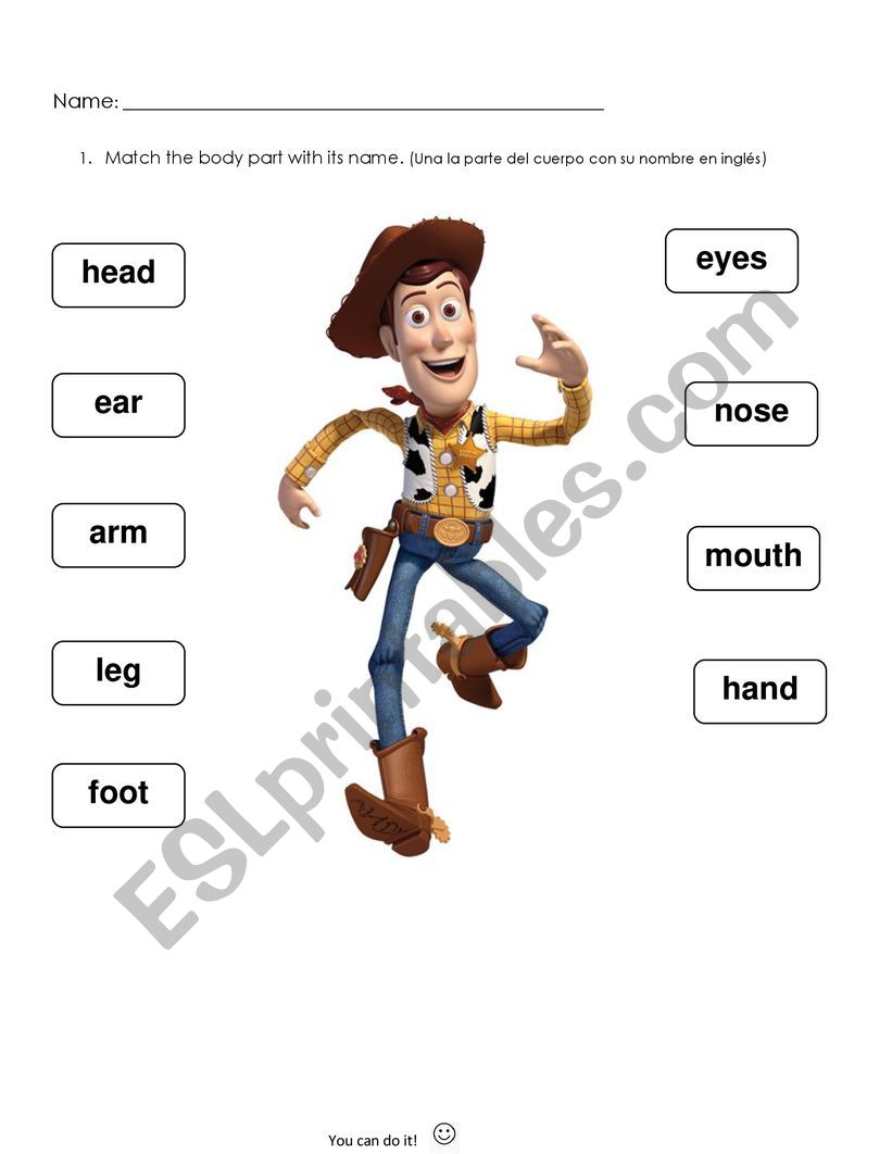 Body parts worksheet