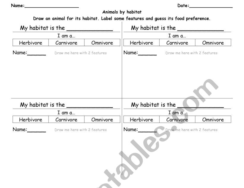 Animal Features worksheet worksheet