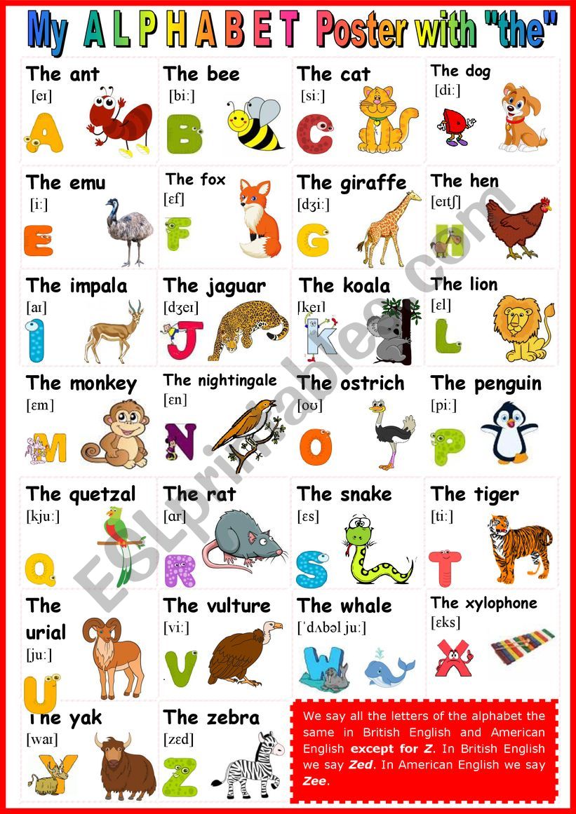 The ALPHABET poster with the pronunciation of 