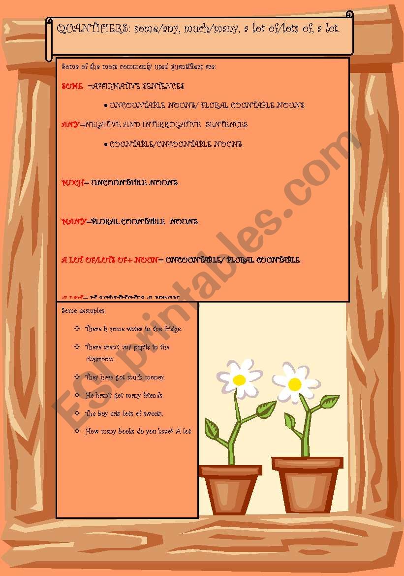 BASIC QUANTIFIERS: some/any, much/many, a lot of/lots of