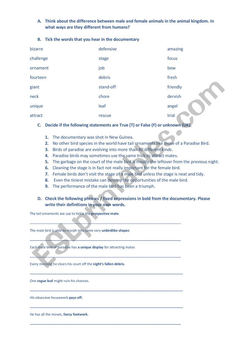 Paradise Bird worksheet