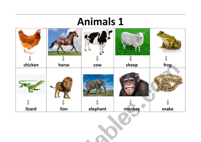 Animals (set 1_farm_and_wild_animals)