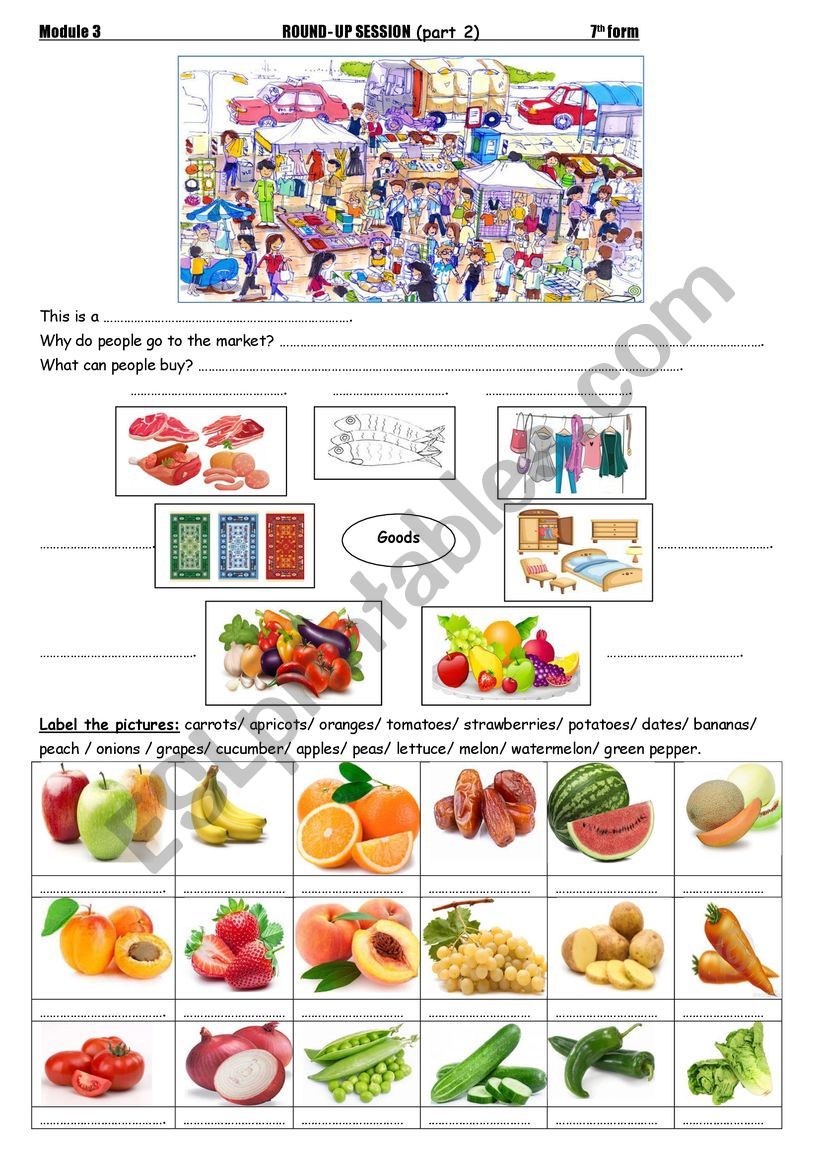 Round-up session Module 3 7th form (part 2)