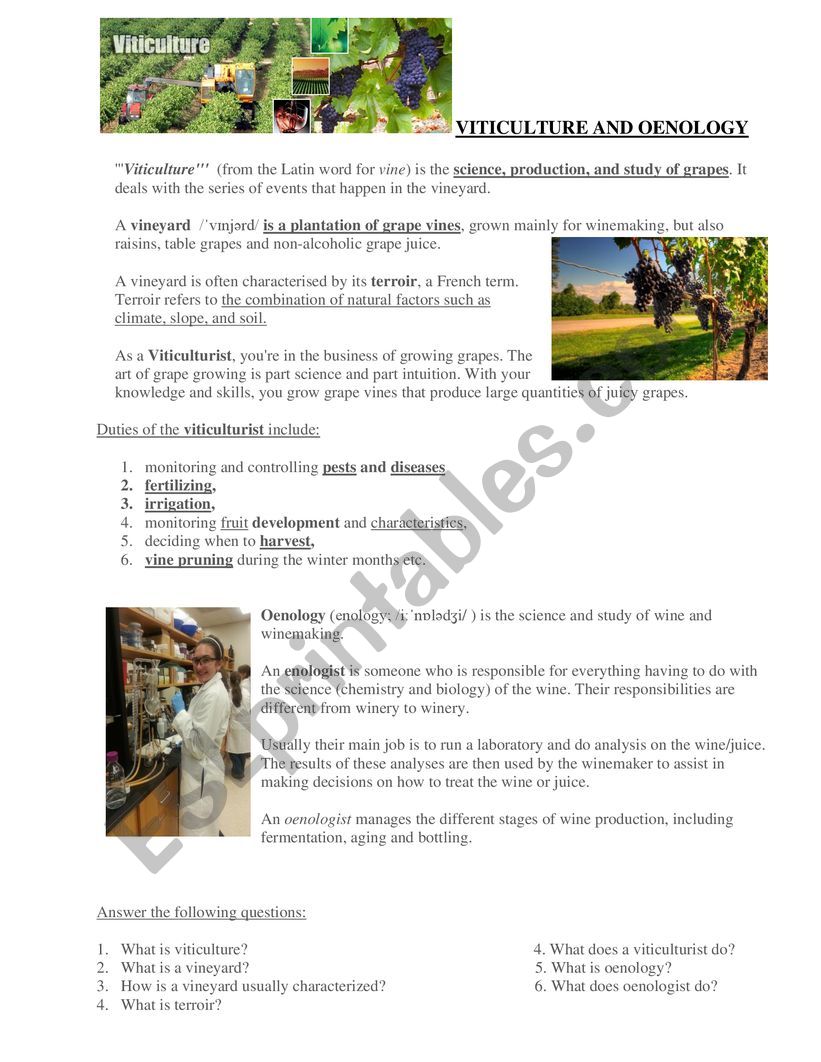 Viticulture and oenology worksheet