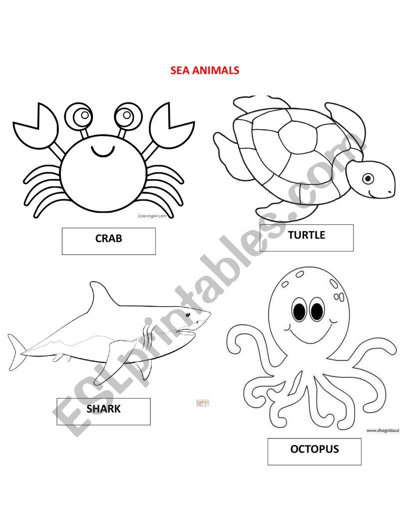 sea animals worksheet