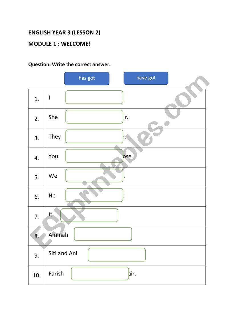 HAVE GOT/ HAS GOT worksheet