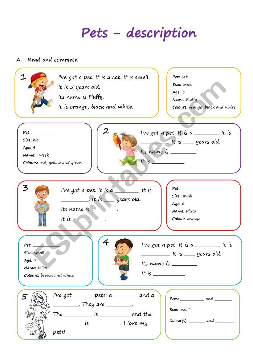 Pets - description (W) worksheet