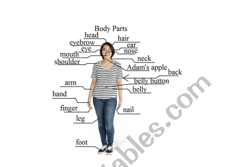 Body Parts worksheet