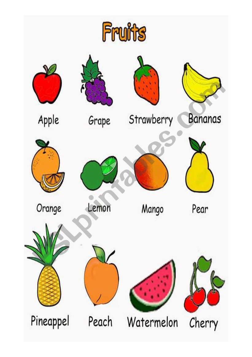 the fruits worksheet