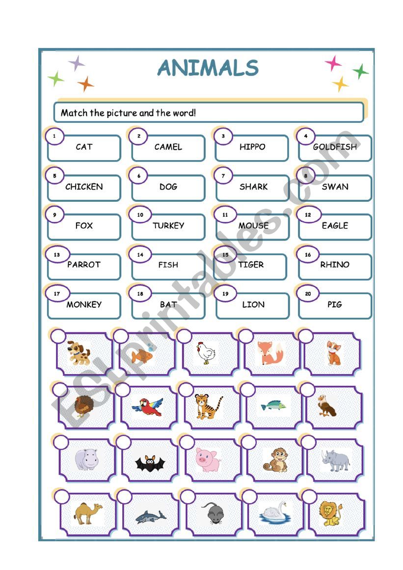 ANIMALS MATCH  worksheet