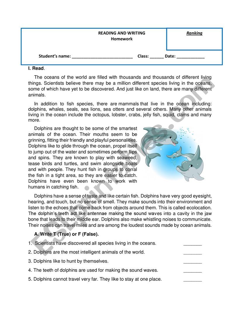 Reading comprehension - Dolphins