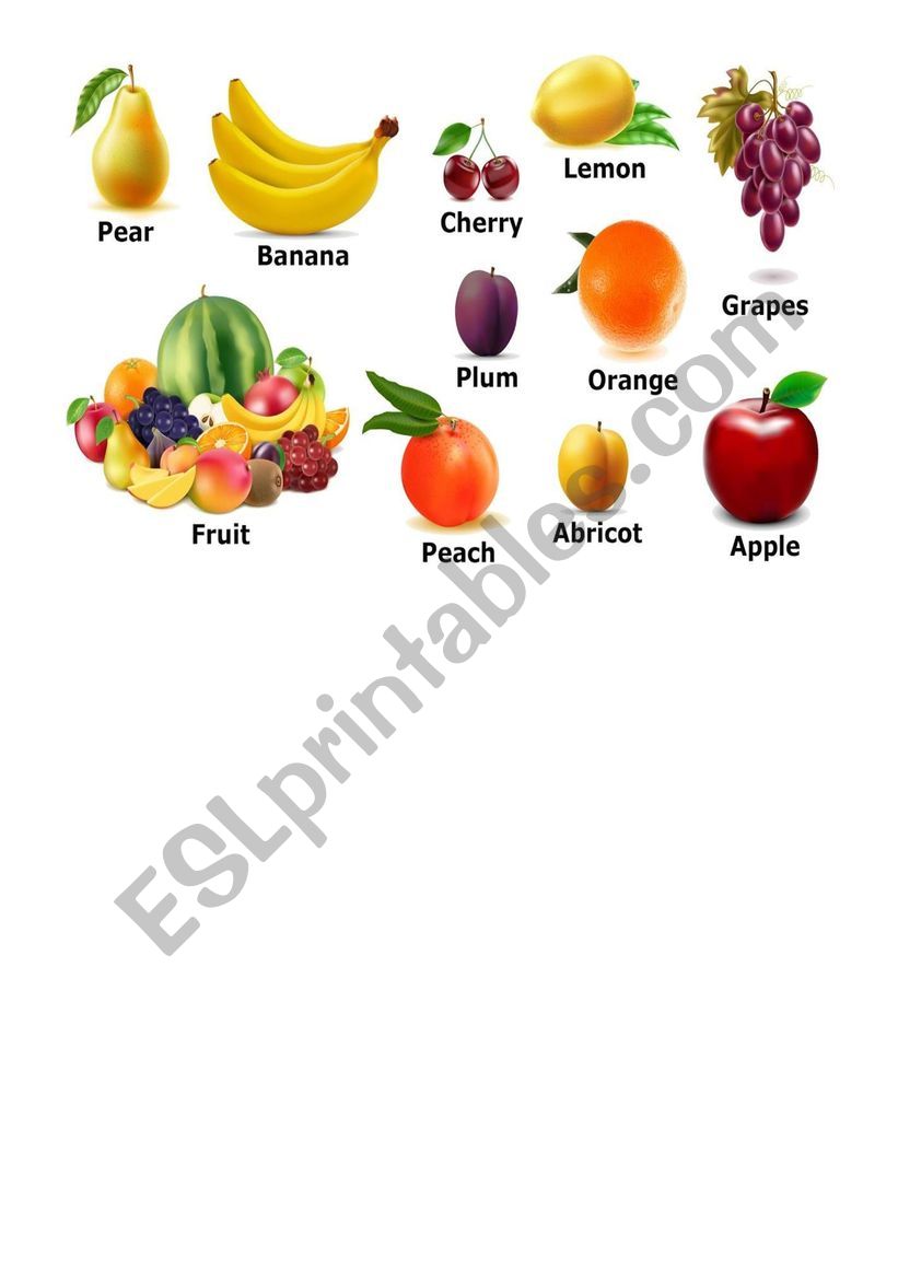 fruits  worksheet