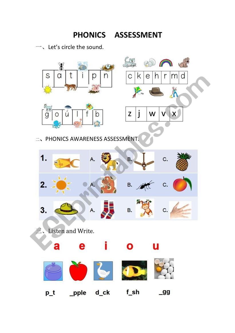 Phonics Awareness Assessment worksheet