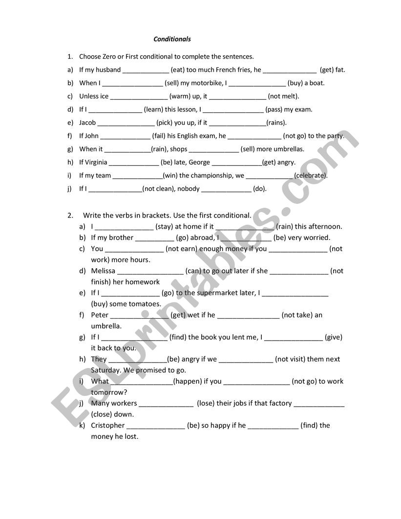 Conditional Exercises worksheet