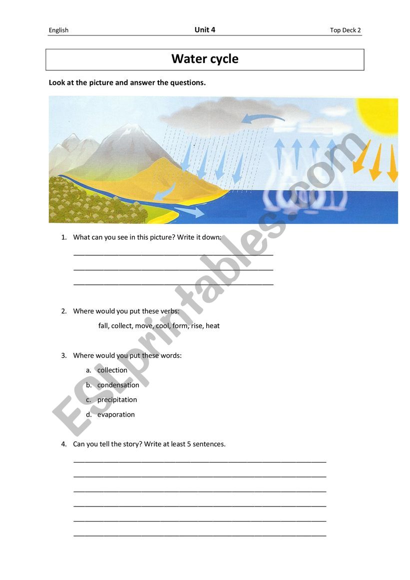 The water cycle worksheet