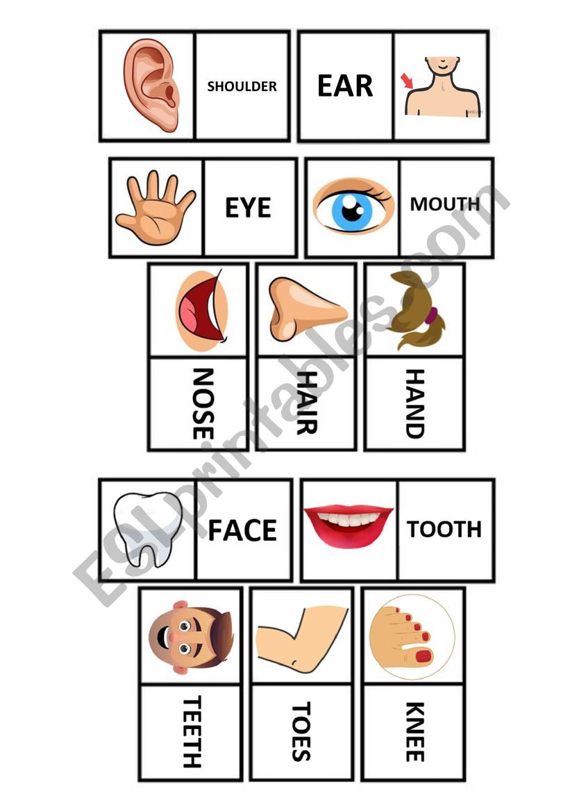 BODY DOMINO worksheet