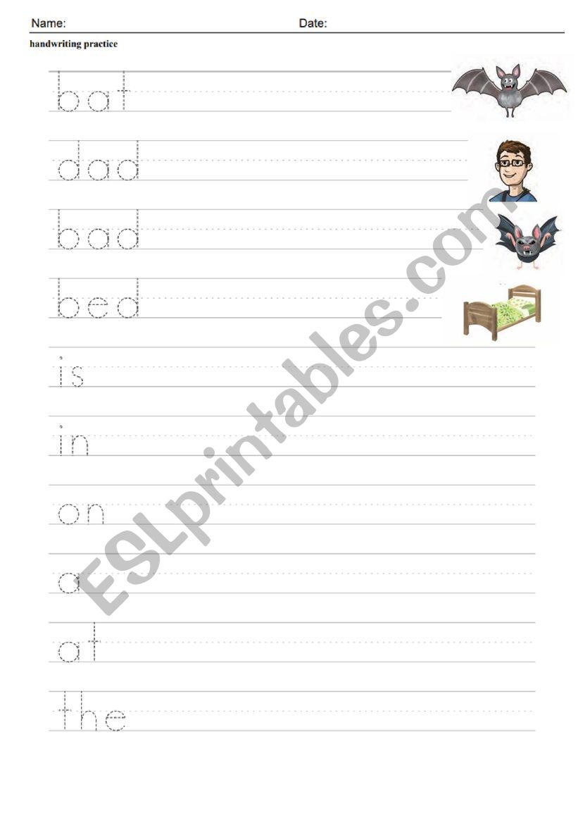 CVC & Sight Words Review worksheet