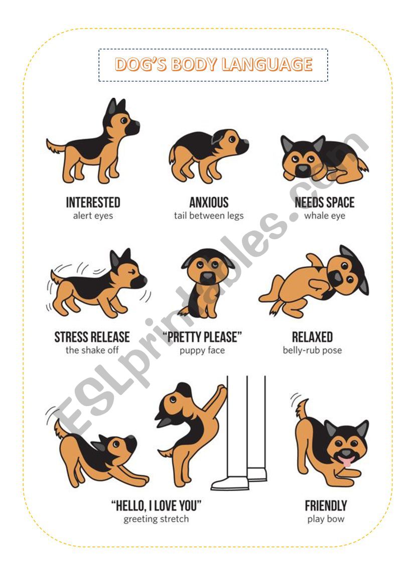 Dogs body language worksheet