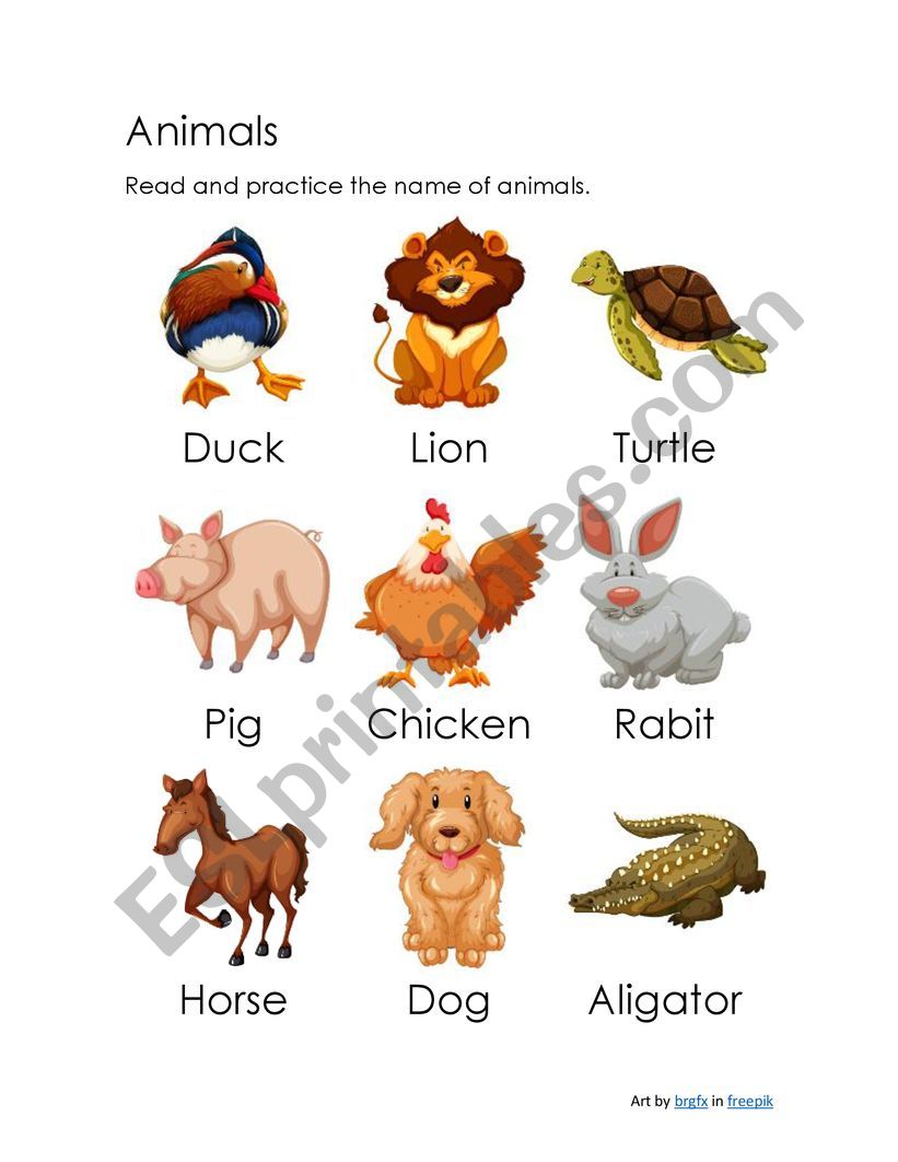Vacabulary: Animals worksheet