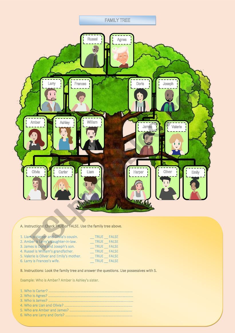 Family Tree and Possessives with S. 