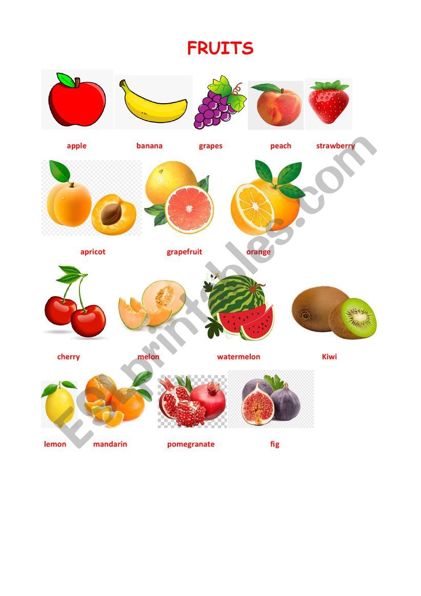 Fruits worksheet