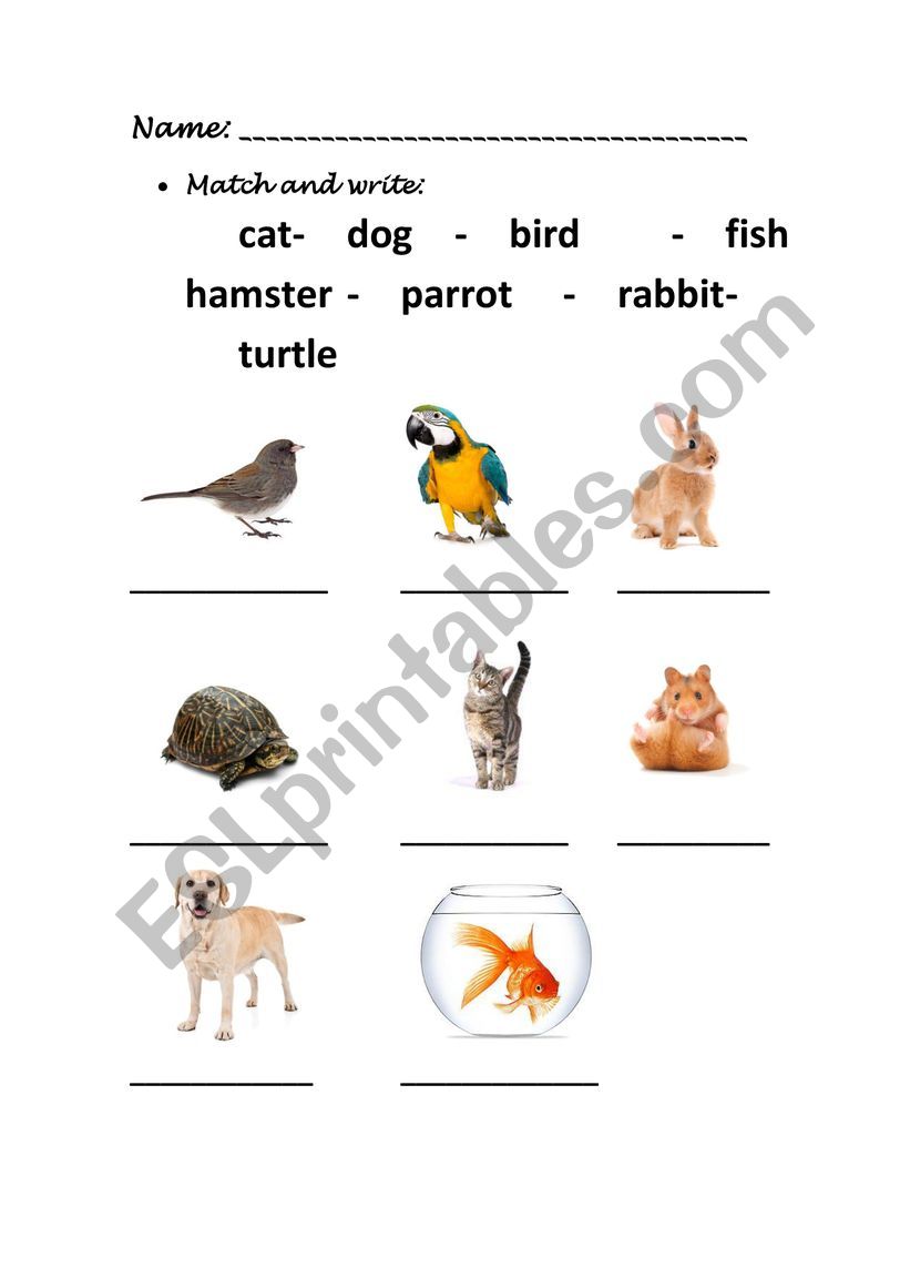 PETS worksheet