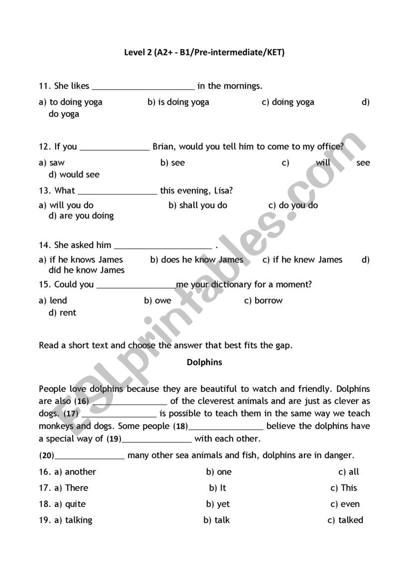 Test A2-B1 worksheet