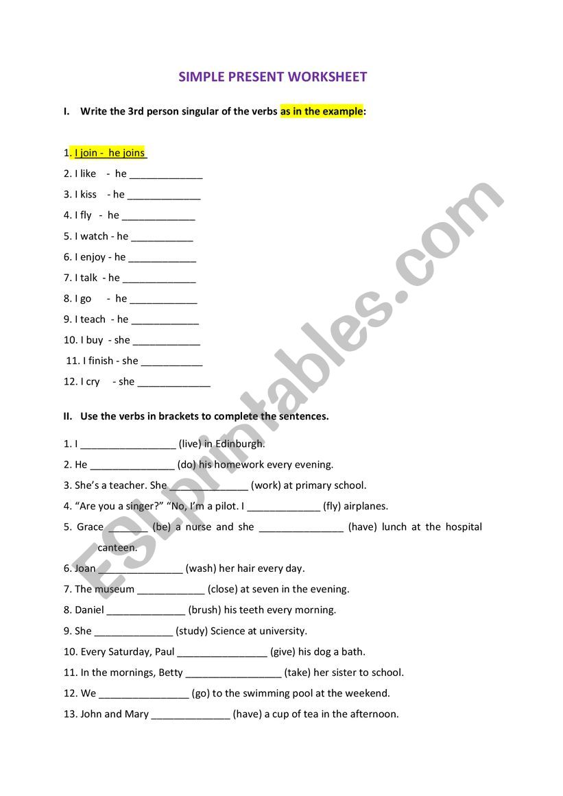 Simple Present Worksheet worksheet