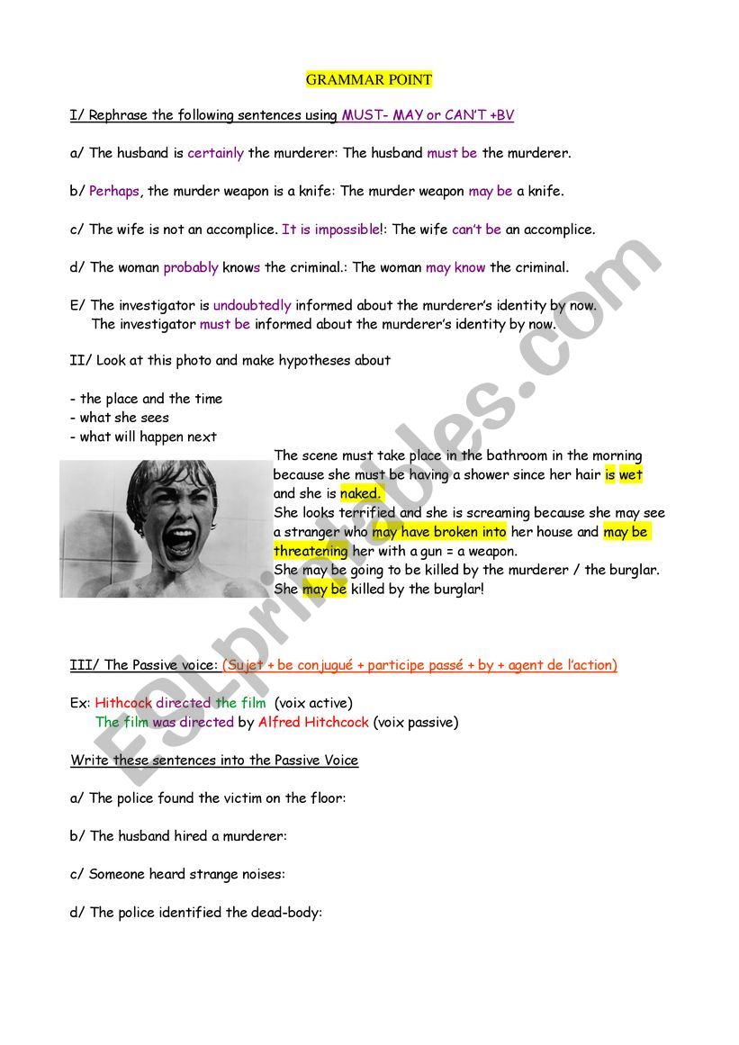 Passive tense / hypotheses  exercices