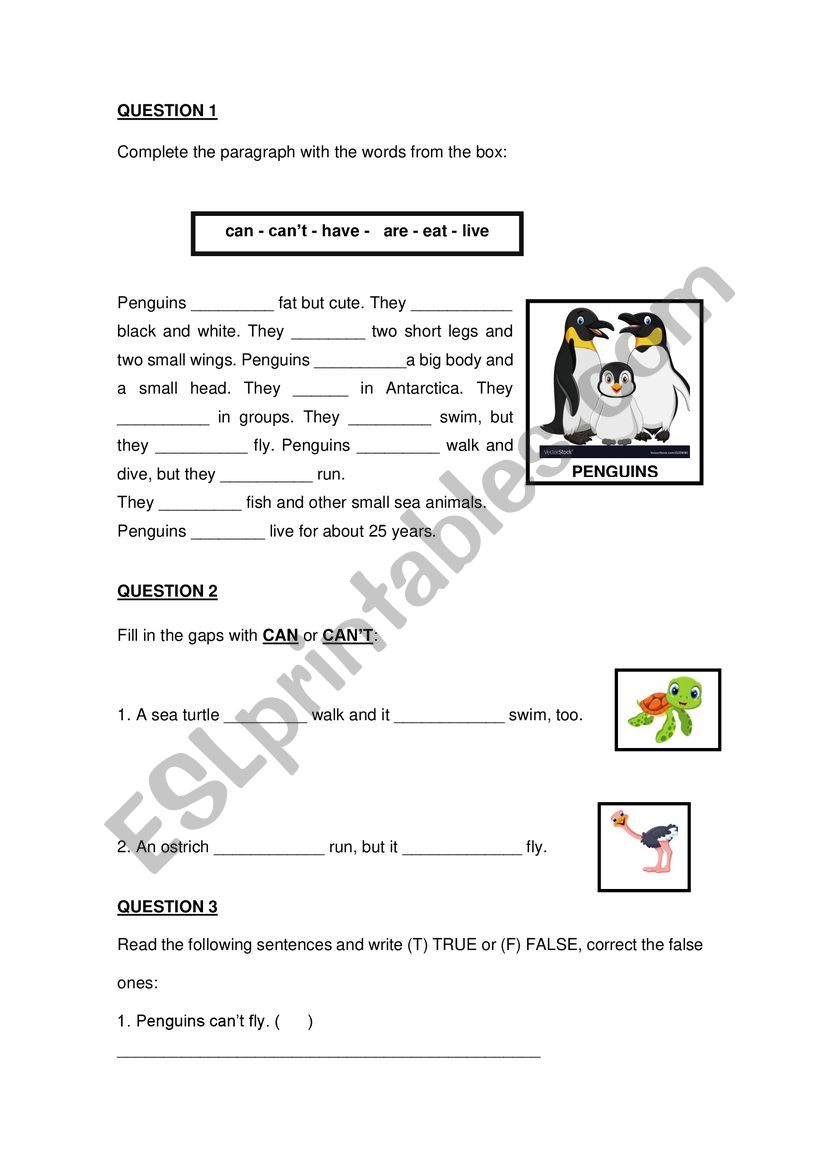 CAN/CAN�T  worksheet