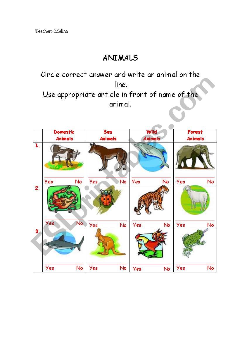 Kinds of ANIMALS worksheet