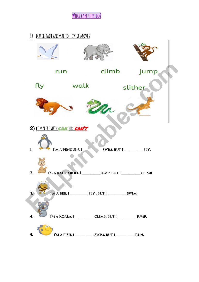 What can animals do? worksheet