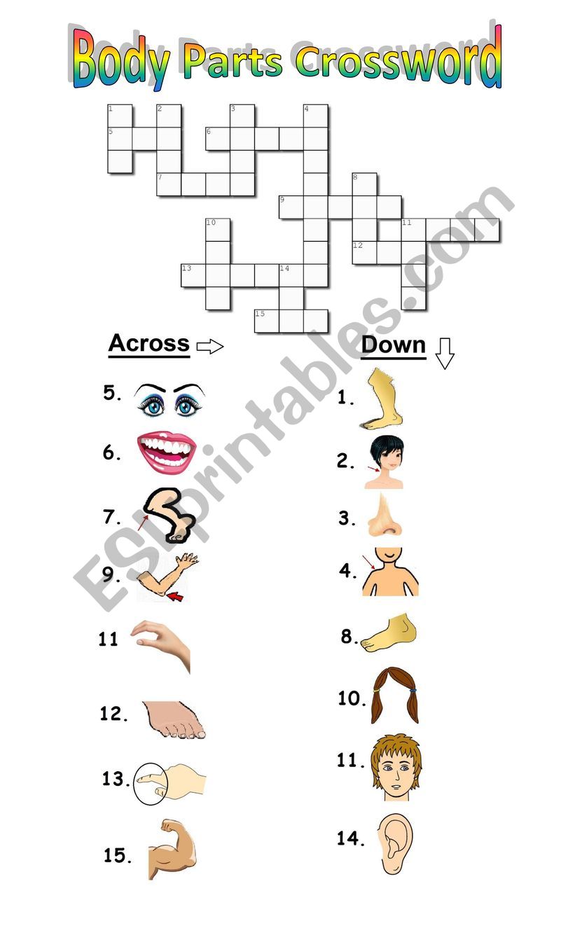 Body Parts Crossword worksheet