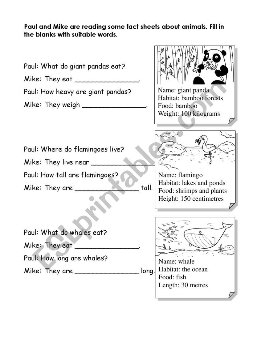 Animals worksheet