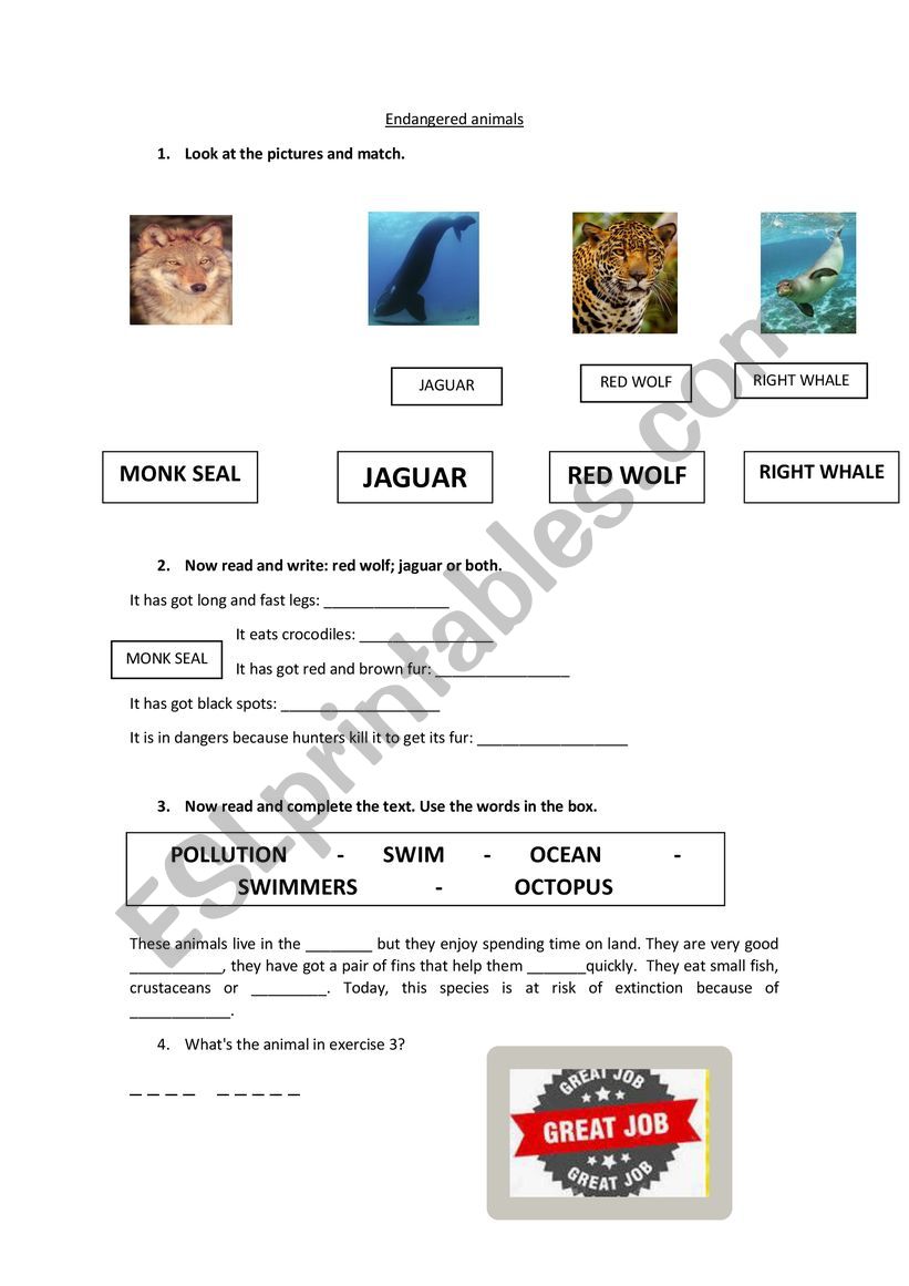 Endangered Animals worksheet