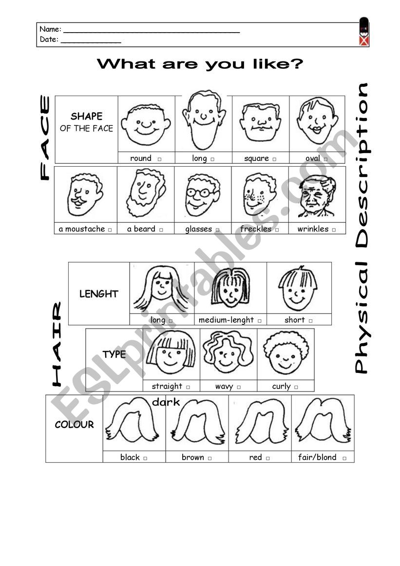 What are you like? worksheet