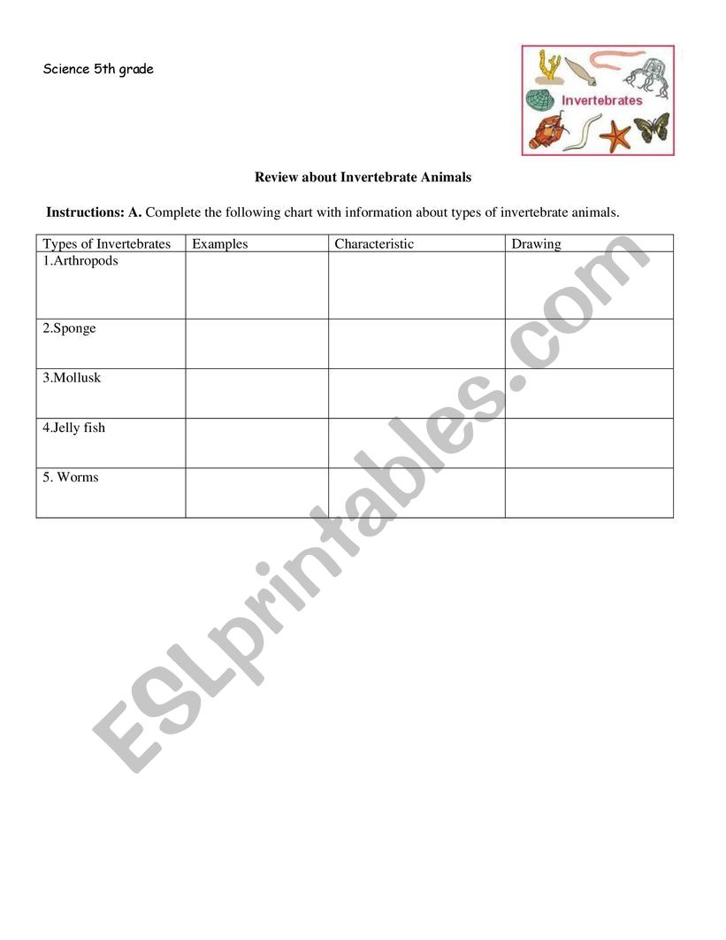 Invertebrate Animals worksheet