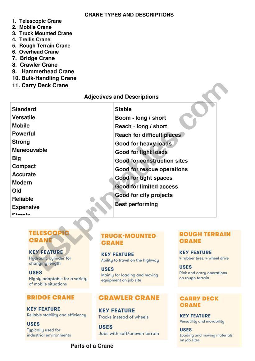 Cranes worksheet