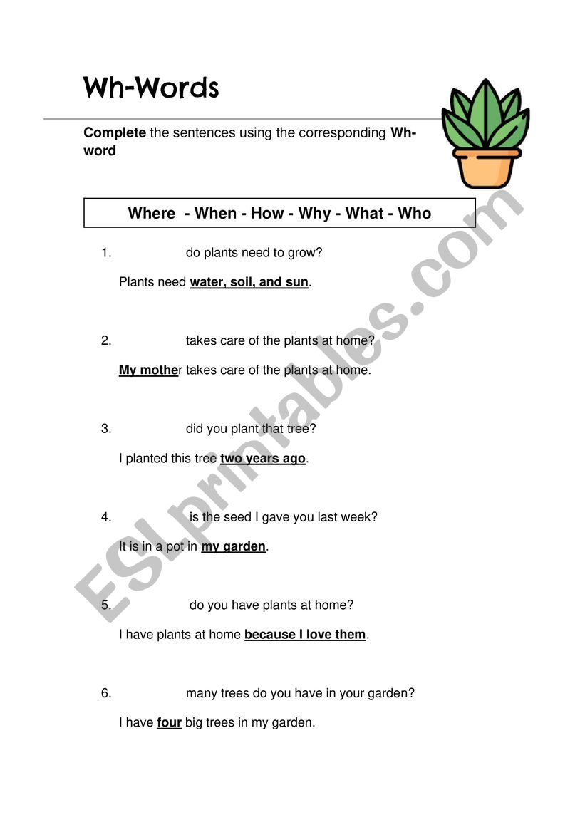 WH plants worksheet