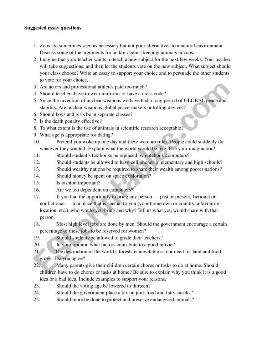 Essay Questions ideas worksheet