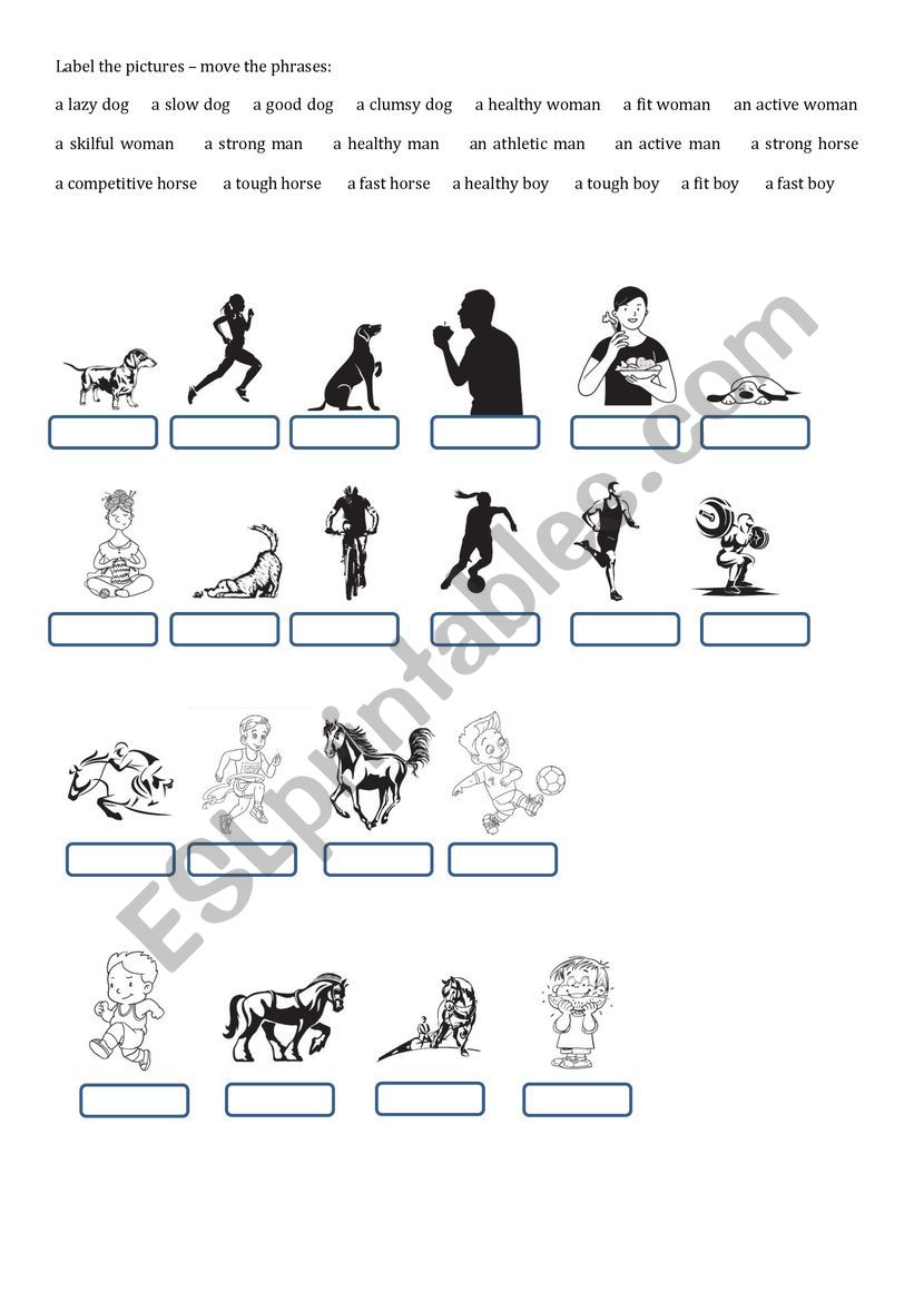 Sports adjectives worksheet