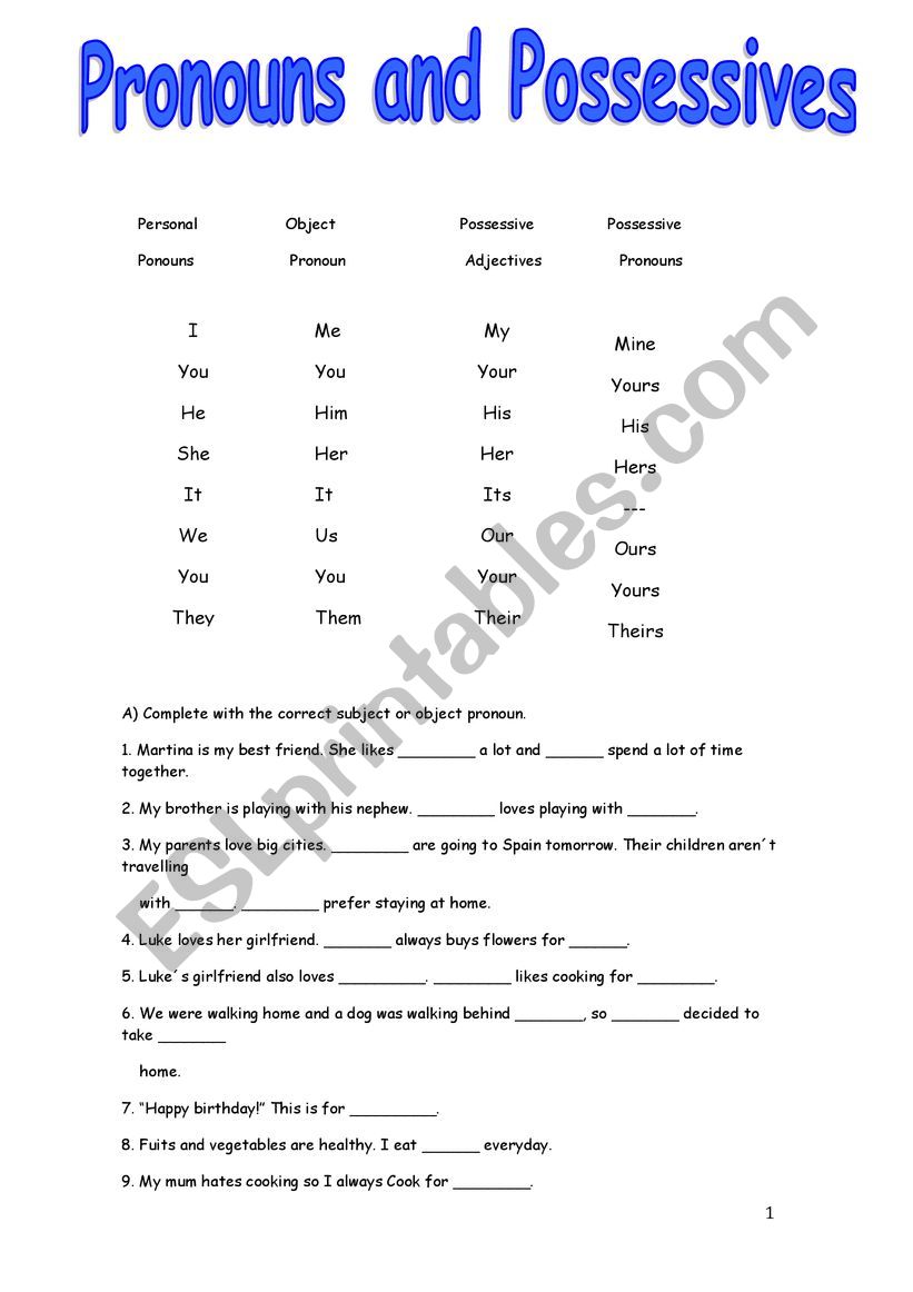 Pronouns and Possessives worksheet