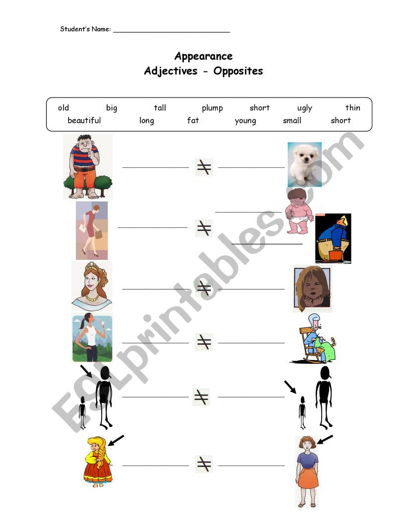 Adjectives worksheet