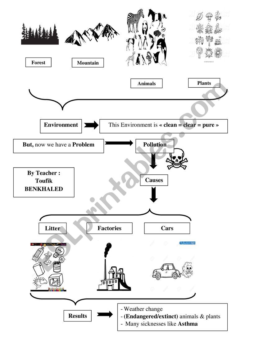 Pollution (causes and effects)