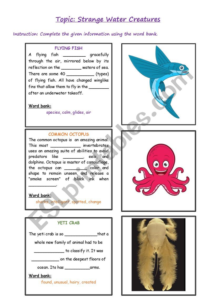 Strange Water Creatures worksheet