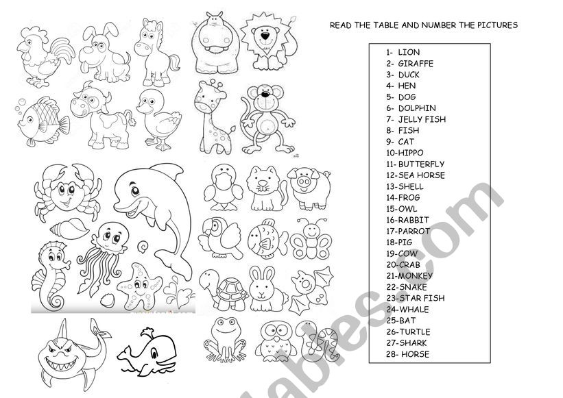 ANIMALS worksheet