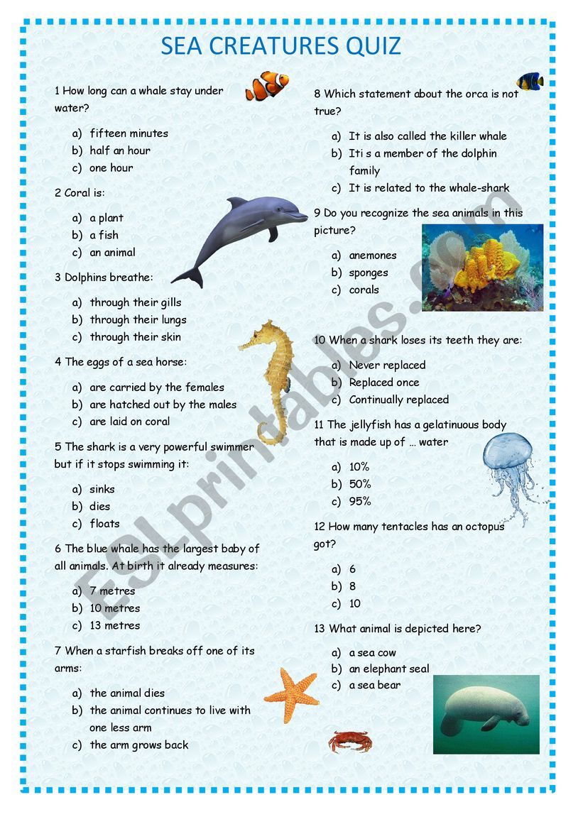 SEA CREATURES QUIZ - ESL worksheet by bubika